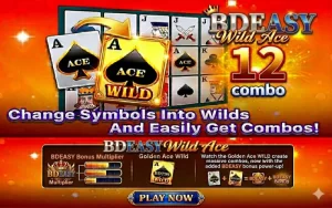 BDEASY Wild Ace